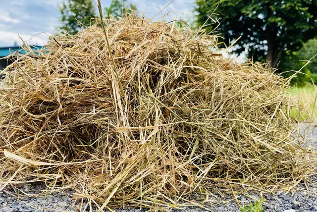 Angeboten werden unterschiedlichste Produkte: von Feldfrüchten und Stroh über Brennholz und Gemüse bis hin zu Reststoffen aus der Lebensmittelverarbeitung wie Kleie, Ölkuchen oder Maisstroh. | Foto: MeinBezirk