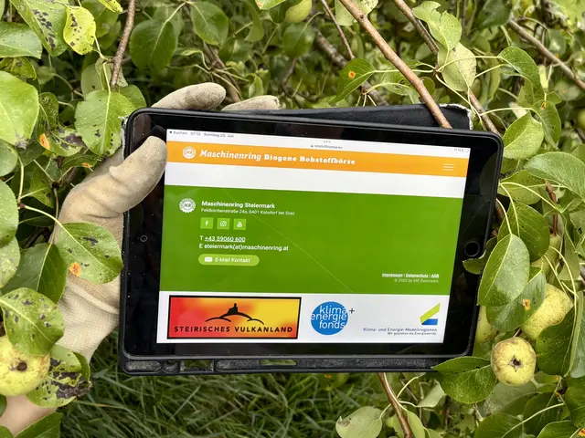 Die Nutzung der neuen Plattform ist unkompliziert. Nach der Registrierung oder mit einem bestehenden Maschinenring-Konto, können Betriebe Inserate erstellen: mit Bildern, Beschreibung und Standort. | Foto: MeinBezirk