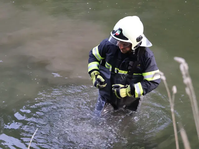 Einsatz in der Triesting | Foto: Markus Hackl