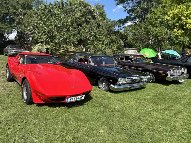 Vom blitzenden Cadillac bis zum röhrenden Mustang war alles vertreten, was die amerikanische Autokultur zu bieten hat | Foto: Goll/MeinBezirk 