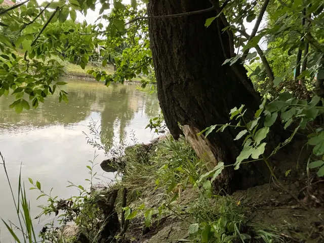 Foto: Nathanael Peterlini/MeinBezirk