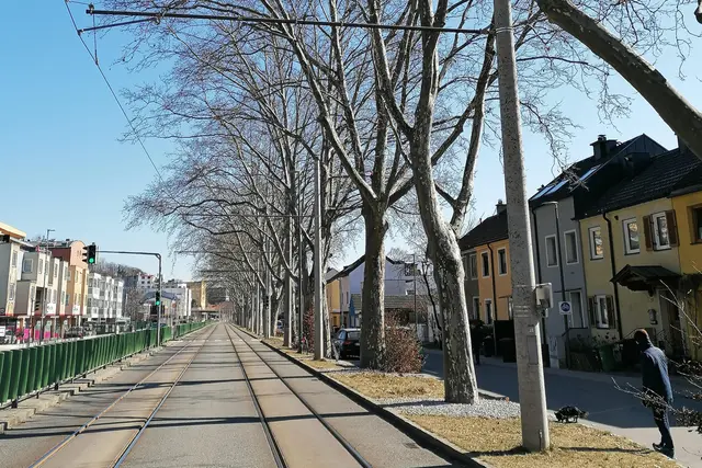 Auf der Kranebitter Allee krachte Sonntagmittag ein PKW in einen Baum. Dabei wurde der Beifahrer schwer verletzt. Der Lenker des PKW war alkoholisiert – ihm wurde der Führerschein abgenommen. | Foto: Stadt Innsbruck