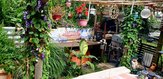 Im Garten von Rene Piok findet sich ein bunter Mix aus Pflanzen und Deko. Und bei dir? Schick uns deine Fotos an graz@meinbezirk.at | Foto: Rene Piok