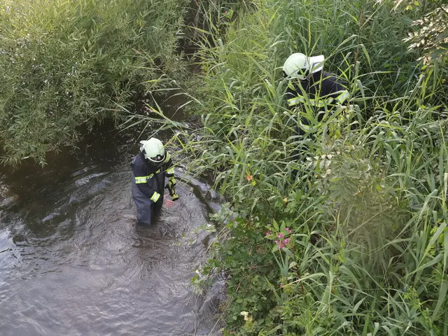 Die Feuerwehr erkundet die Lage in der Triesting. | Foto: Markus Hackl