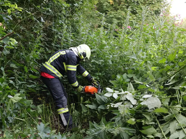 Freischneiden der Böschung. | Foto: Markus Hackl