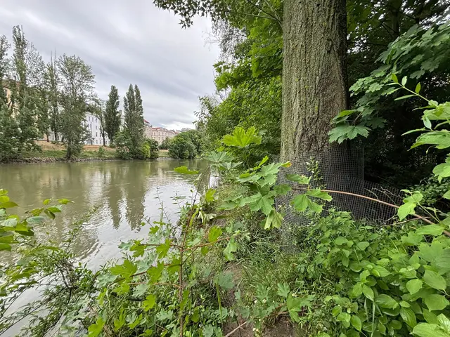 Foto: Nathanael Peterlini/MeinBezirk