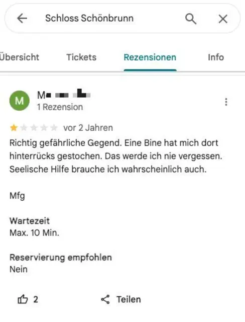 Stechgefahr vor dem Schloss! | Foto: Screenshot Google Maps