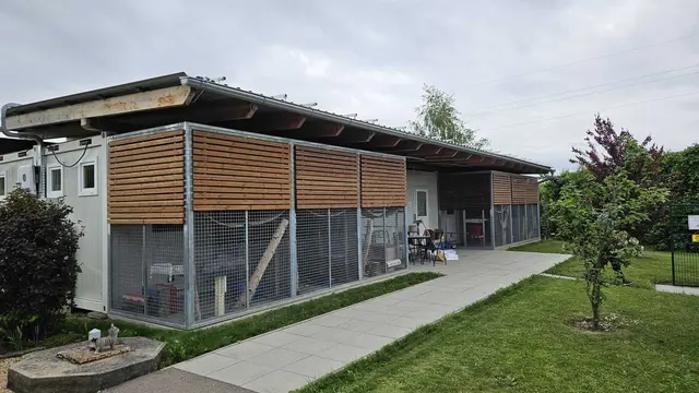 Gebäude der Weizer Katzenfreunde an der Elin-Süd-Straße 8 | Foto: Anita Traxler