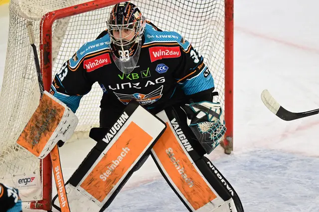 Thomas Höneckl geht in seine fünfte Saison bei den Black Wings Linz.  | Foto: Black Wings Linz/Eisenbauer