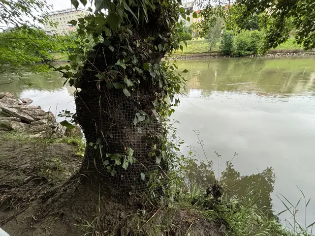 Foto: Nathanael Peterlini/MeinBezirk