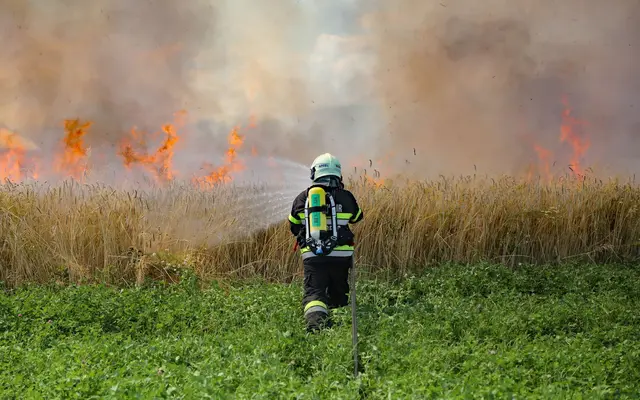 Durch die sommerlichen Temperaturen steigt wieder die Brandgefahr. | Foto: FF/Zeiler
