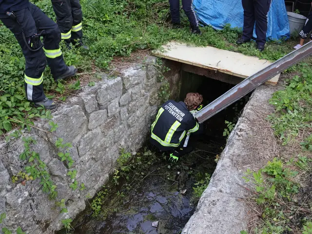 Feuerwehr im Einsatz. | Foto: Markus Hackl