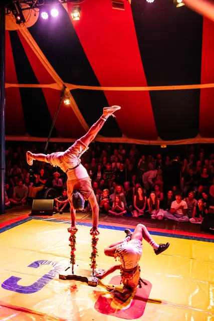 Foto: Stadt Linz/Regina Sturm/Hermann Erber