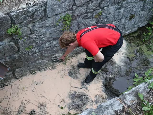 Die Ölspur gelangte über ein Betonrohr in die Triesting. | Foto: Markus Hackl