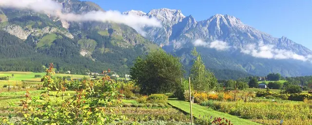 In der fünften Woche ist die Radio-Tirol Sommerfrische zu Gast im Bezirk Innsbruck-Land. | Foto: ORF