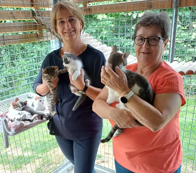 Monika Probst und Elisabeth Sebestyen-Kropf mit Babykatzen (v. l.) | Foto: Anita Trexler