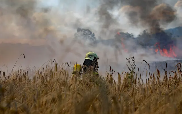 Über 100 Feuerwehrleute standen im Einsatz. | Foto: FF/Zeiler