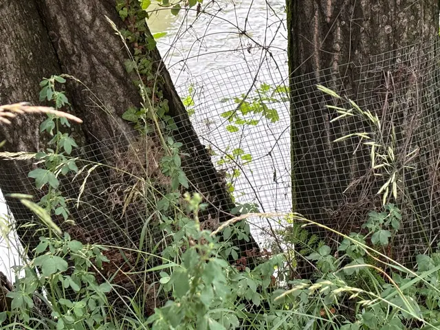 Foto: Nathanael Peterlini/MeinBezirk