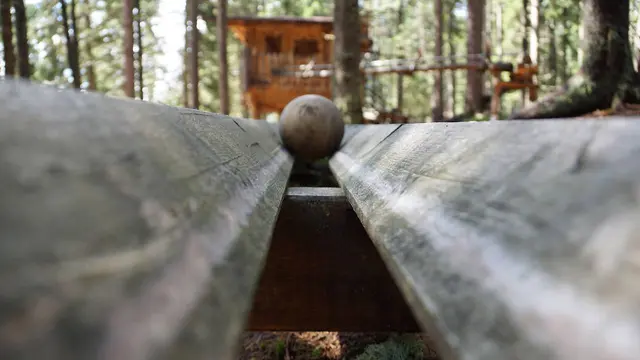 Bergerlebniswelt Kugelwald am Glungezer. | Foto: TVB Region Hall-Wattens