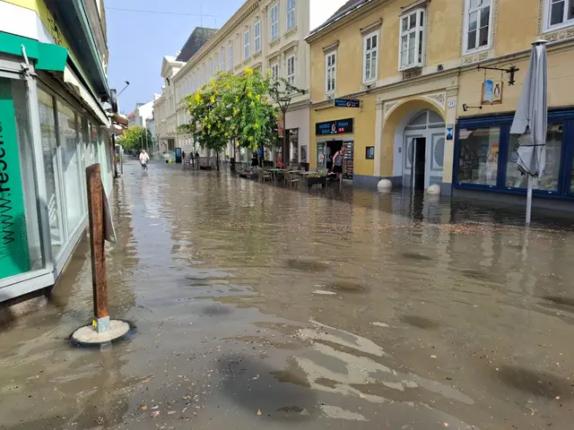 Canale Herzog-Leopold-Straße. | Foto: FF WRN, Montag