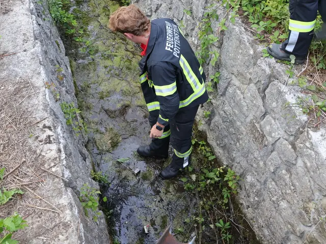 Feuerwehreinsatz | Foto: Markus Hackl