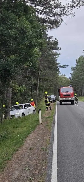 Einsatz nach einem Wildunfall. | Foto: FF Flatz