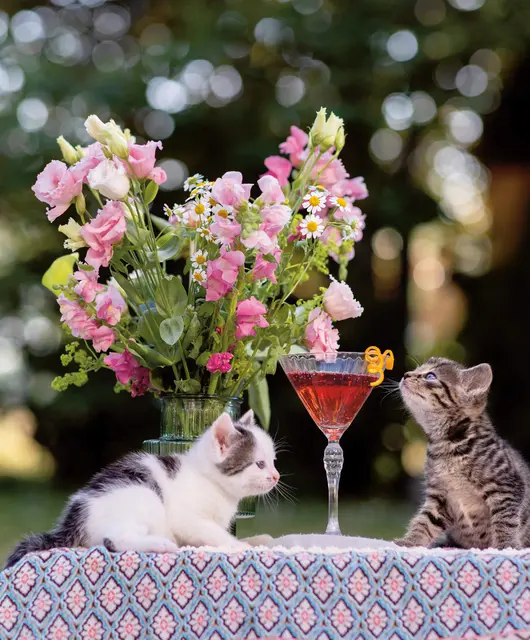 Foto: Soulmatesimages