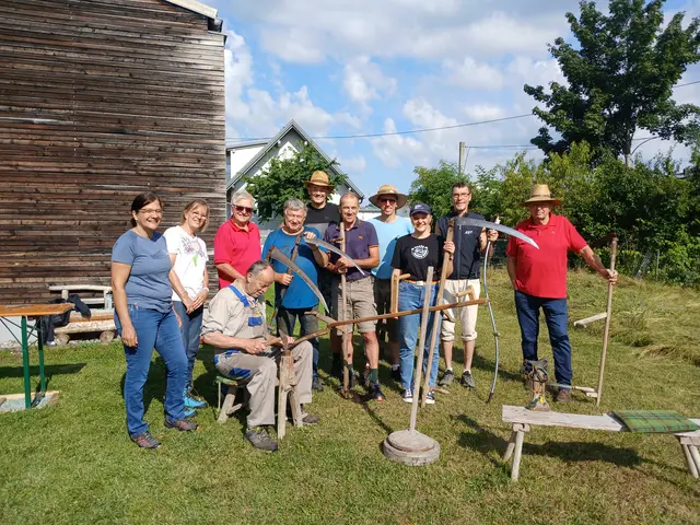 Der Sensenmähkurs in Grieskirchen setzt ein Zeichen für die schonende Wiesenpflege ohne Maschinenlärm und Benzingeruch. | Foto: Archiv Stadtamt