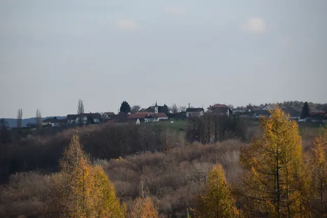 Auch Teile von Großmürbisch leiden unter dem Senderausfall. | Foto: Martin Wurglits