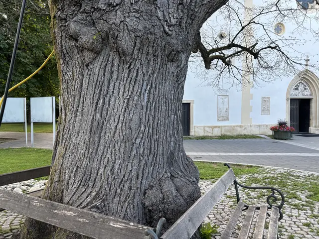 Foto: Waltraud Fischer