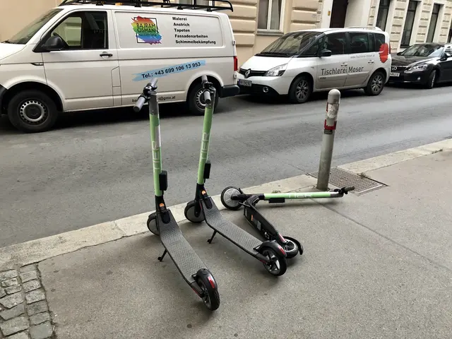 Die beiden 13-Jährigen waren auf einem E-Scooter unterwegs und kamen beim Ausweichen auf die Fahrbahn ab. | Foto: ngb