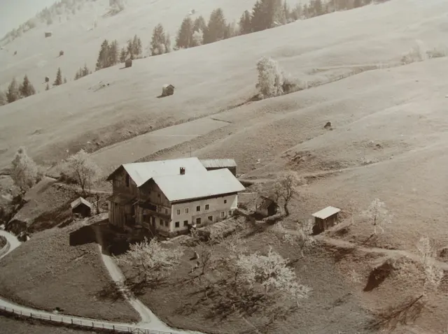 Gertreiner Hof | Foto: Chronik Gemeinde Grinzens