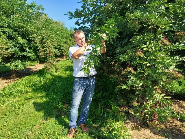 Auf dem Betrieb von Landwirt Michael Neuhold wird Biodiversität großgeschrieben.