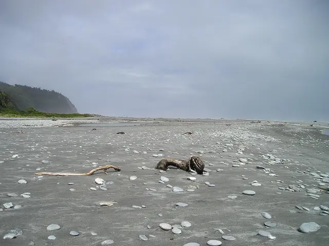 Wer im Urlaub am Strand Muscheln, Steine oder Sand als Andenken mitnehmen möchte, sollte vorsichtig sein – in vielen beliebten Ländern sind solche Souvenirs verboten. | Foto: Pixabay/Simon