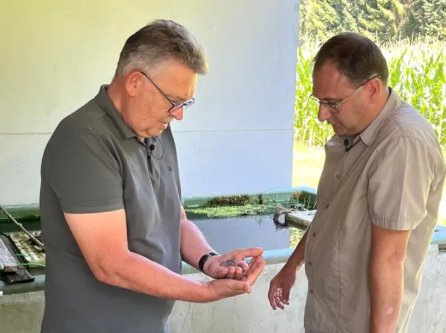 Dietmar Kreindl (li) und Karl Lenz (re) mit einem blauen Jungkrebs in der Hand. | Foto: Maria Nebel