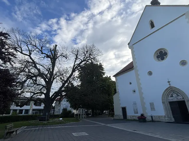 Foto: Waltraud Fischer
