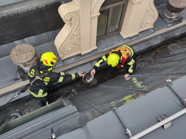 Einsatz am Dach des Casinos | Foto: Freiwillige Feuerwehr Baden-Stadt/www.ffbs.at