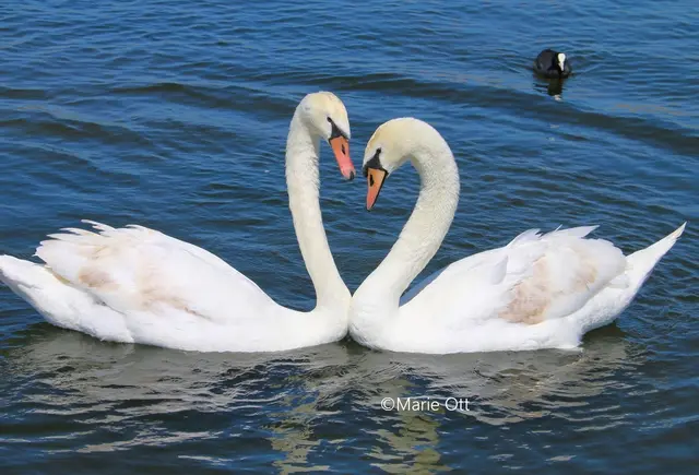 Die Natur genießen!