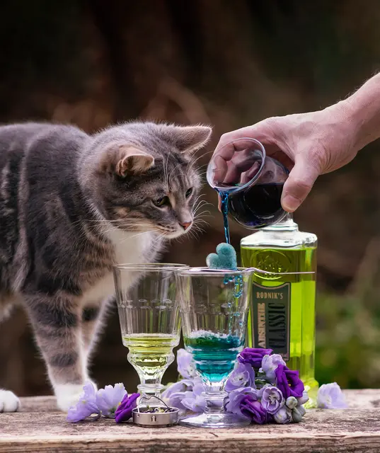 Damit die kleinen Models auch gut posieren, durften sie sich über sogenannte "Liquid Treats", also puddingähnliche Leckerbissen freuen. Der Alkohol in den Cocktails war aber den Menschen vorbehalten. | Foto: Soulmatesimages