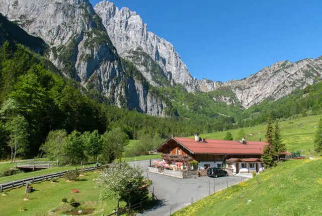 Rang elf in ganz Österreich für die Fischbachalm in Kirchdorf. | Foto: Fischbachalm