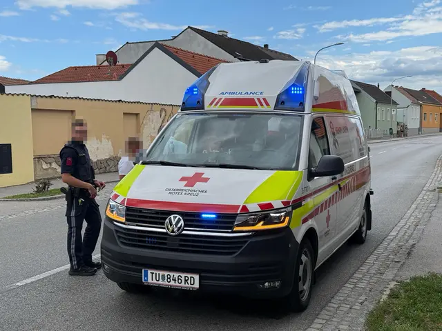 Ein ebenfalls alarmierter Rettungswagen übernahm noch vor Ort die medizinische Erstversorgung.  | Foto: DOKU-NÖ