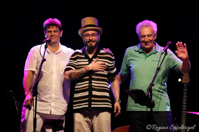 Am 3. Juli rockten Martin Wenninger, Stphan Heiner und Rudi Saeger mit 60'er Jahre Pop &amp; Rock &amp; Rock'n' Roll die Villa Kunterbunt in der Pfalzau. Ein Abend der guten Laune auf der Bühne wie im Publikum.