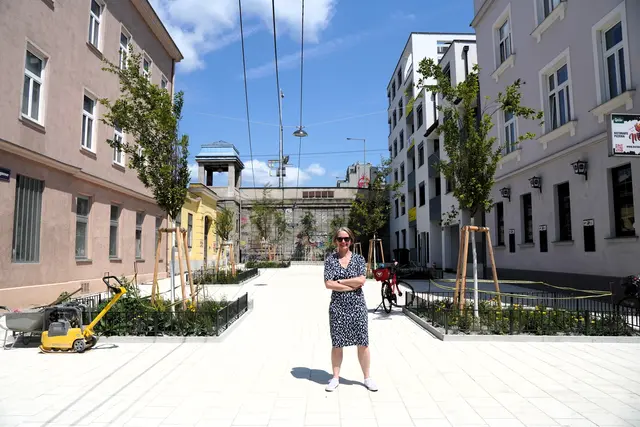 Entlang der Längsseite wurden fünf neue Bäume mit Grünbeeten gepflanzt. Im hinteren Bereich ist ebenfalls ein Blumenbeet mit säulenförmigen Sträuchern entstanden. | Foto: BV14