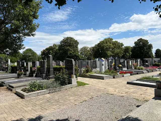 Diesmal trifft es den Friedhof in Mistelbach. | Foto: MeinBezirk 