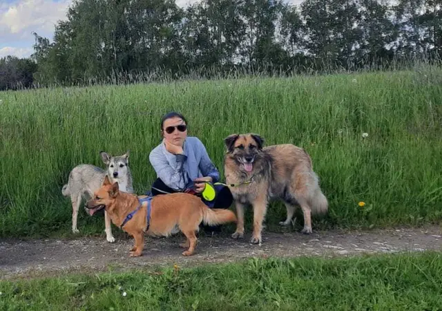 Das Problem liegt nicht bloß an der Leine, sondern an der eigenen Wahrnehmung und viel mehr. (v.l.n.r.) Masha, Hobbes, Edwynn | Foto: Rebekka Sadiki-Peckary