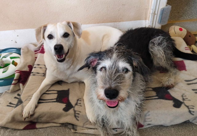 Foto: Rebekka Sadiki-Peckary