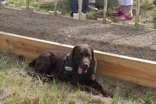 Foto: Michael Strini