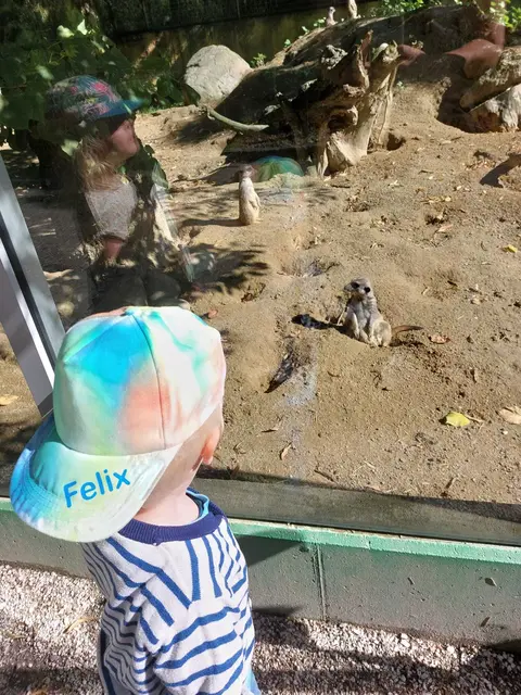 Foto: Simone Stadlbauer