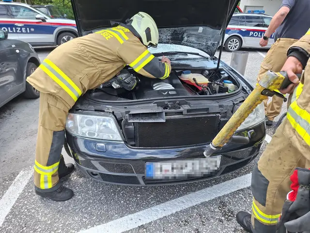 Die angelegten T-Shirts führten zu einem Glimmerbrand. | Foto: Feuerwehr Zell am See