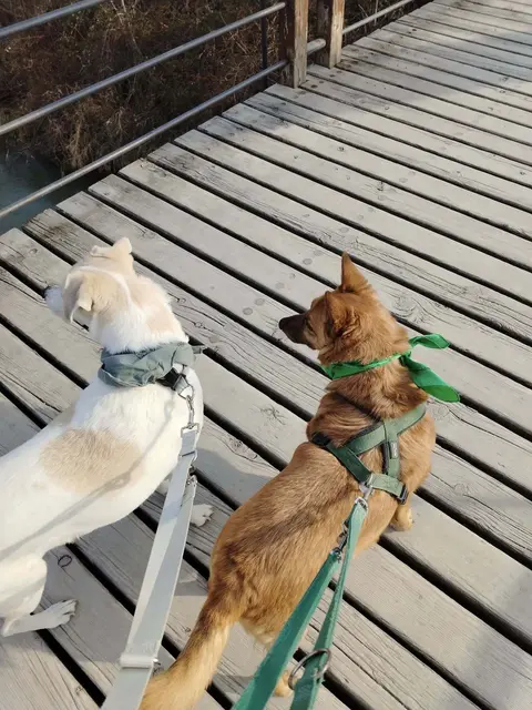 (v.l.n.r.) Nahla und Thomas Hobbes | Foto: Rebekka Sadiki-Peckary